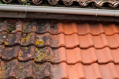 Roof pressure washing to eliminate moss, algae and lichen